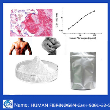 Hochreines Pulver CAS 9001-32-5 Pharmazeutika Humanes Fibrinogen